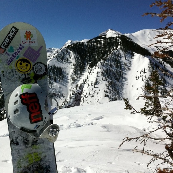 Meet your Posher, Danny - Picture 1 of 1